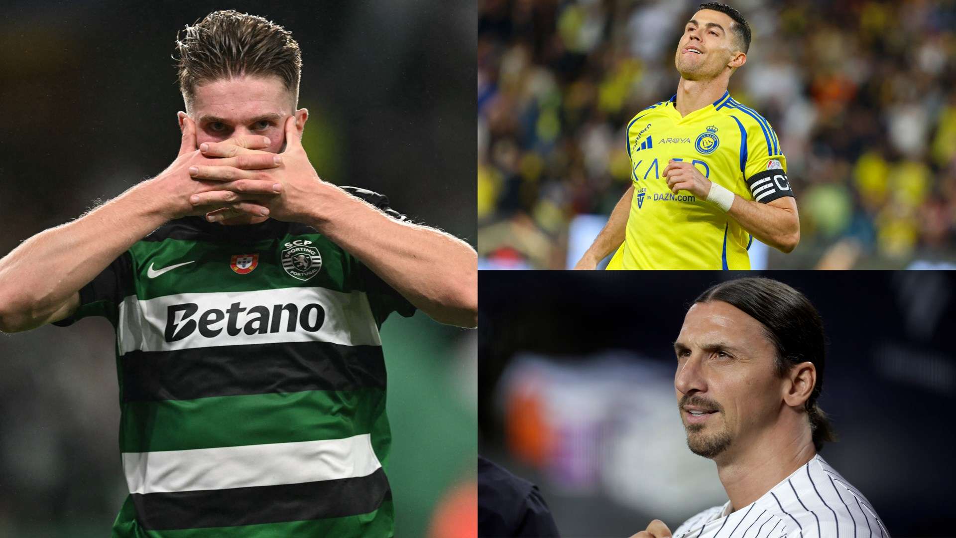 質疑所動搖 質疑所動搖